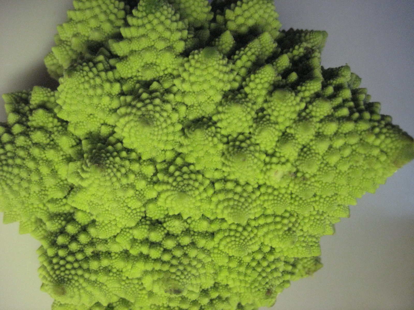 IMG_3676 Groene romanesco